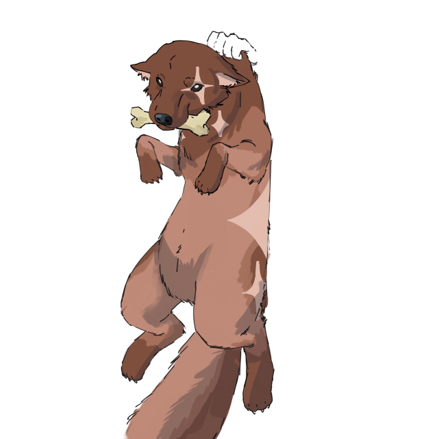 Untitled887 20260215220226