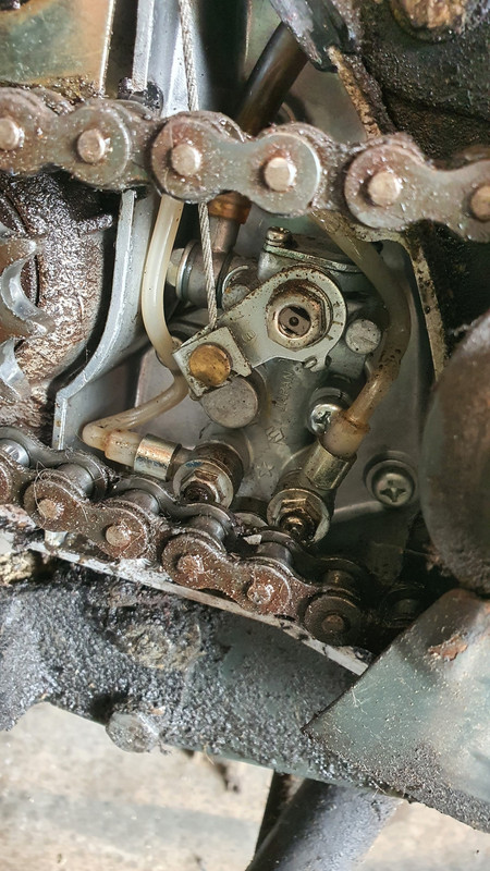 20230131_095838 (Custom)