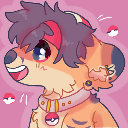 46506375_rGqi4KPG9ppQjzX