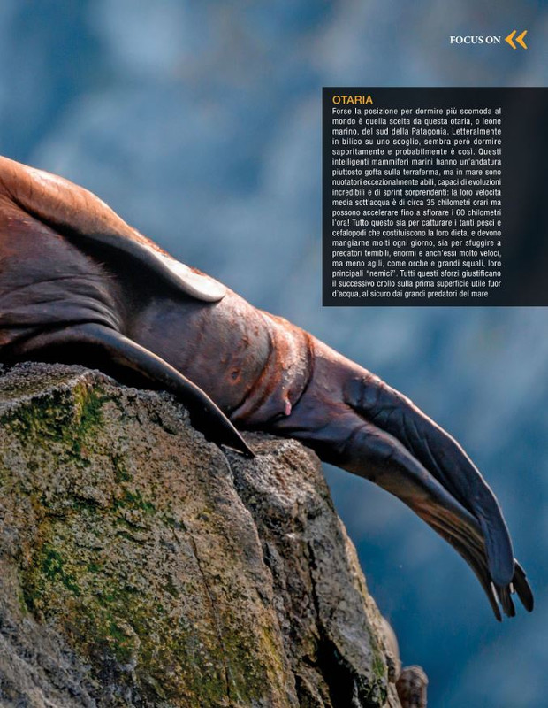 Argos Ago-Set 2022 (8)