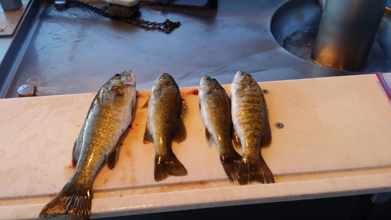 4 smallmouth Oct 25