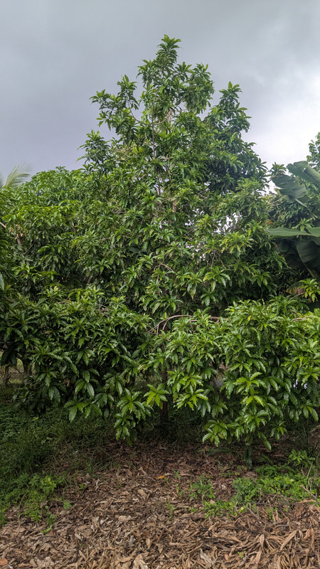 PXL_20250918_203140008