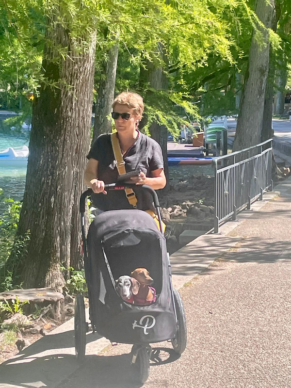 [Image: Nantua-TSDF.jpg]