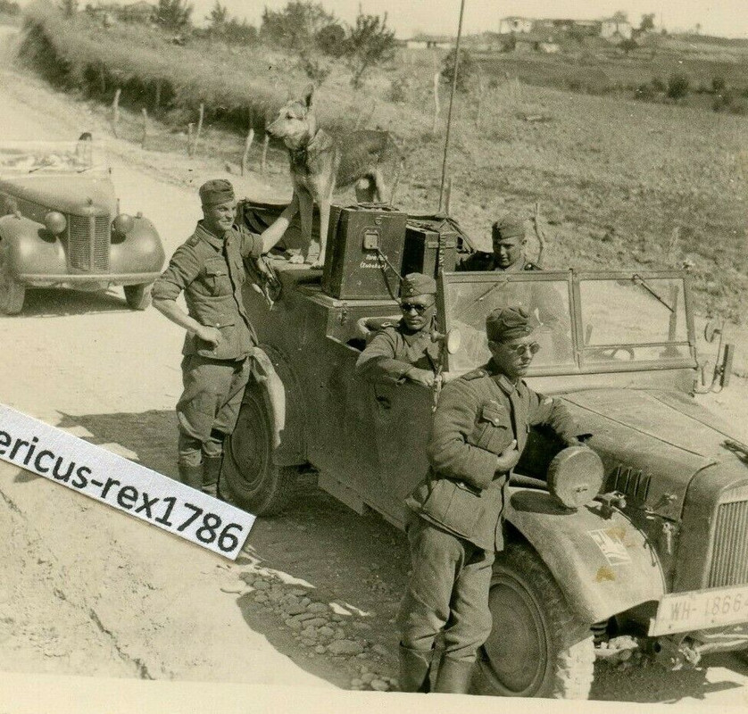 Foto WH in Rumänien Funk PKW Nachrichten Abt Kübelwagen Einheitswagen Wappen