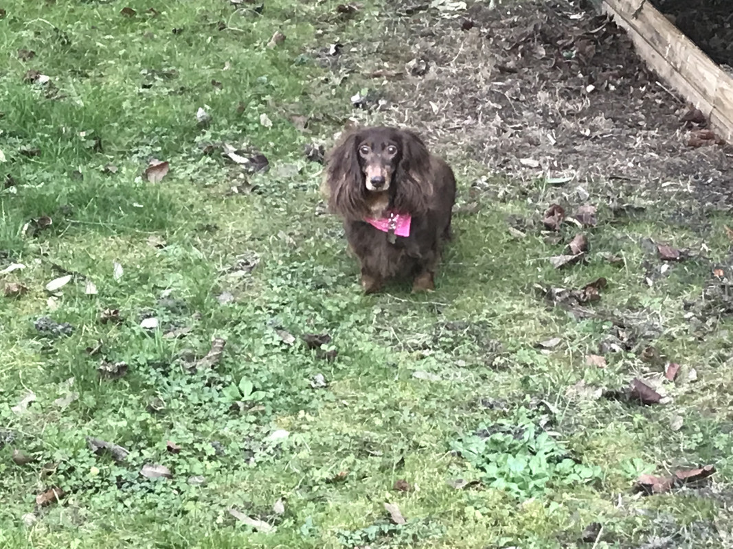 [Image: FBEE55-A7-30-C1-409-B-88-E1-7-FFA9897198-B.jpg]