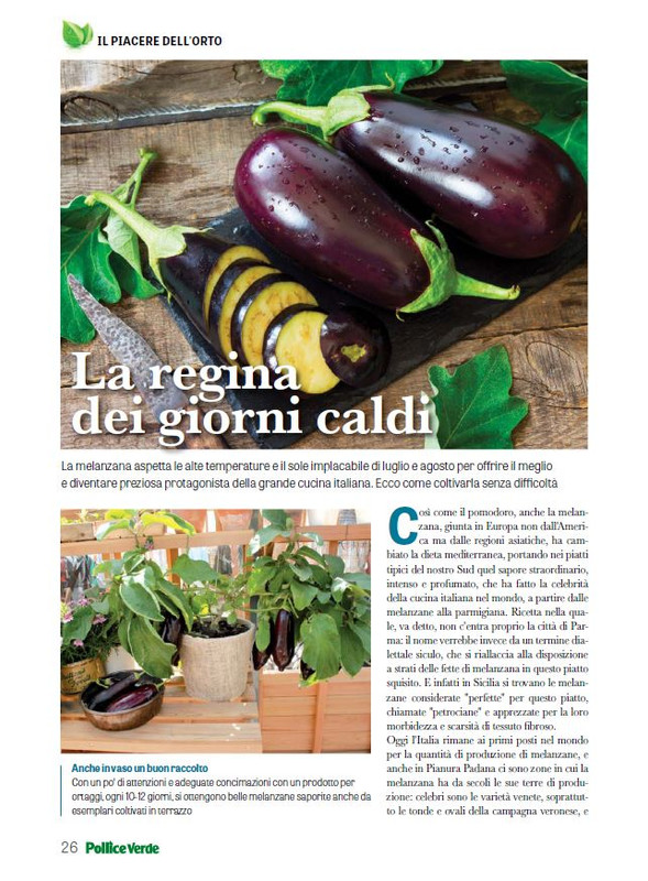 Pol Ver Lug 2024 (3)