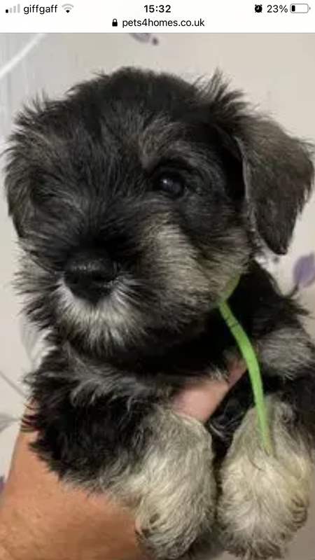 8A3FD3CF-4630-4B8A-A4C4-38FD68BD2EAE