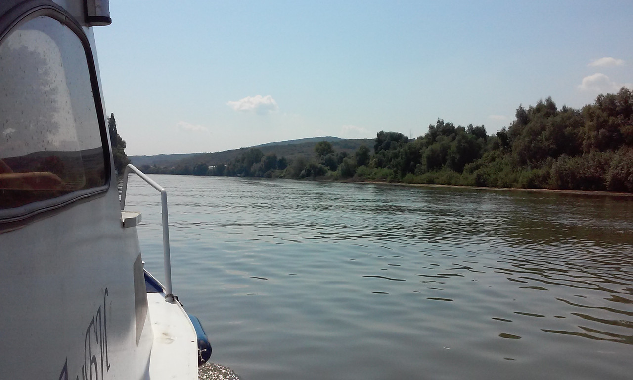 Slika