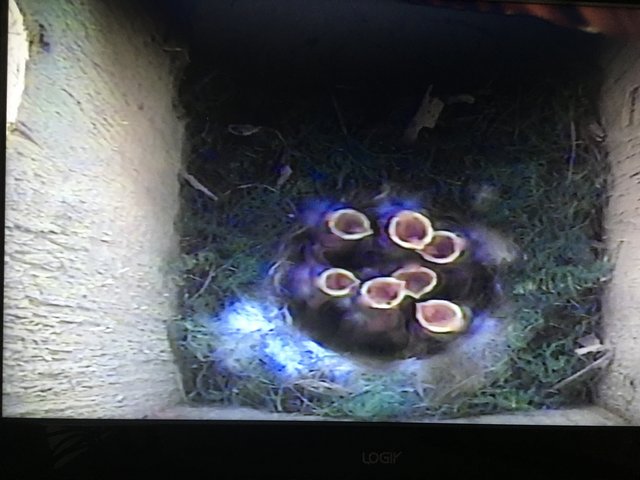 A9AD5153-5CEF-4025-BBC5-9DA38161C56D