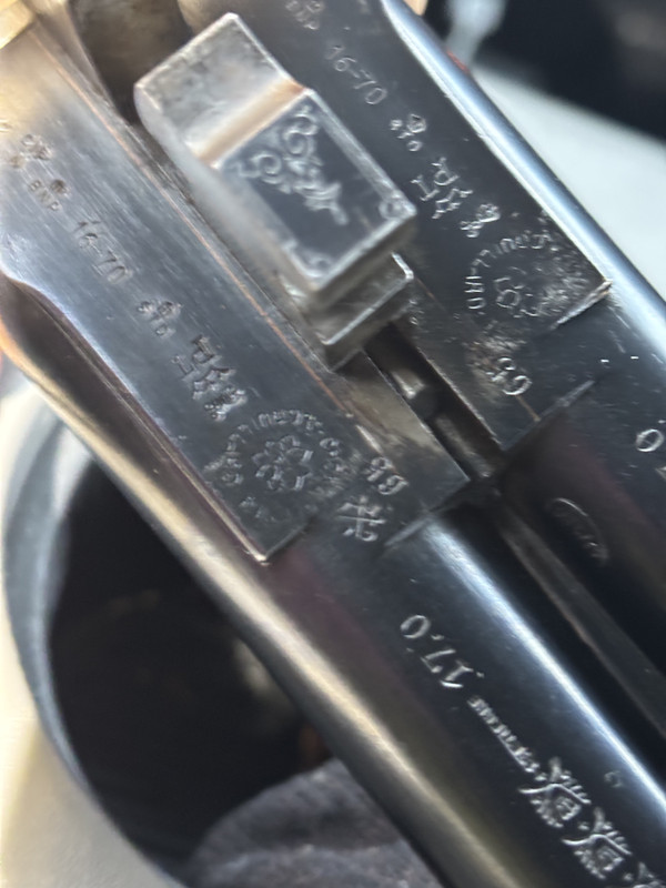 [Linked Image from i.postimg.cc]