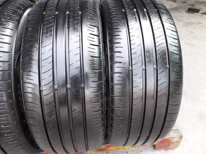 56214317_1357541507719363_800791506968379392_n