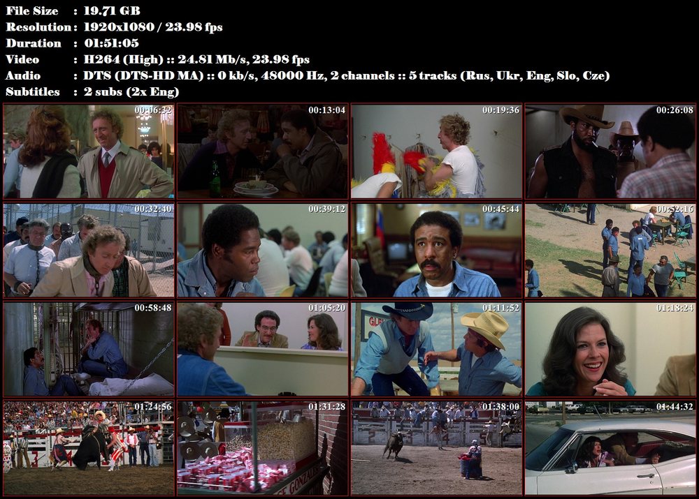 Blázni ve vězení / Stir Crazy (1980)