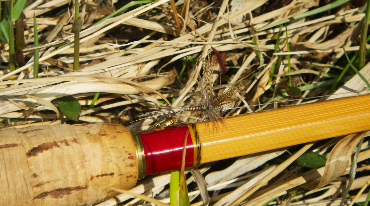 Gordon's Quill & Leonard