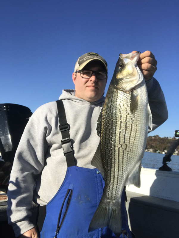 4FA920A7-6F39-4CE0-AC71-67D024D07375