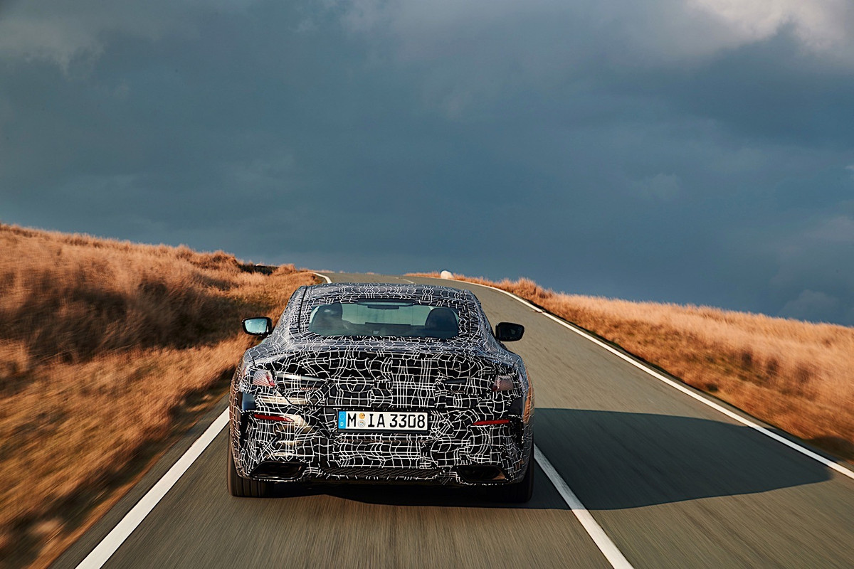 BMW 8 Series Coupe (17)