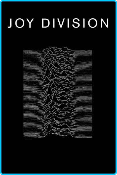 Joy-Division-2007-1080p-WEBRip-X265-RBG.png