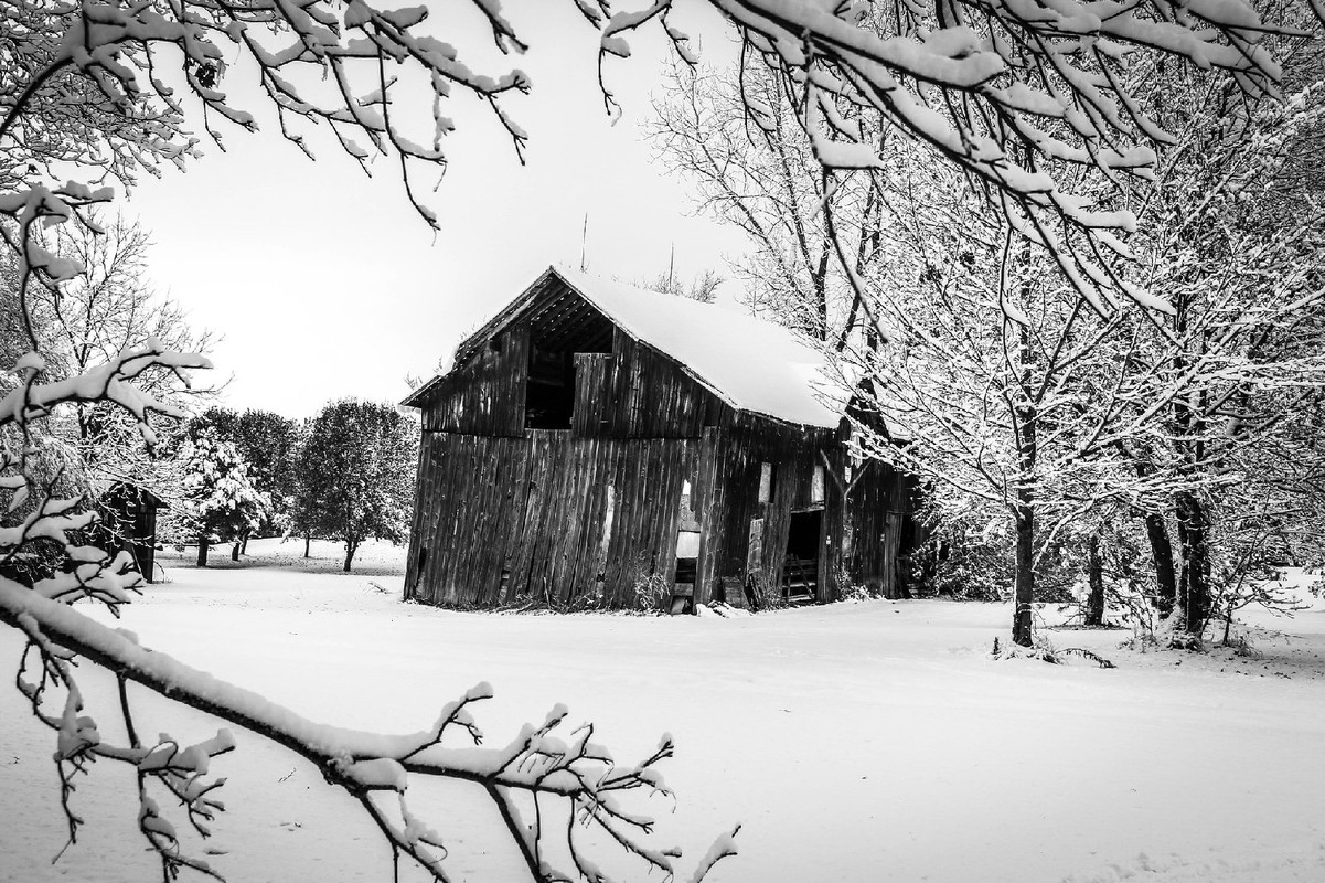 blacknwhiteoldbarninsnow.jpg