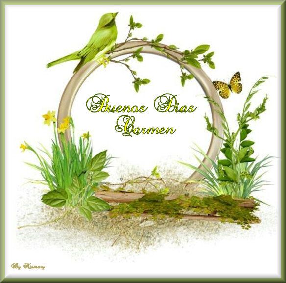 B DIAS MARIPOSA PAJARO