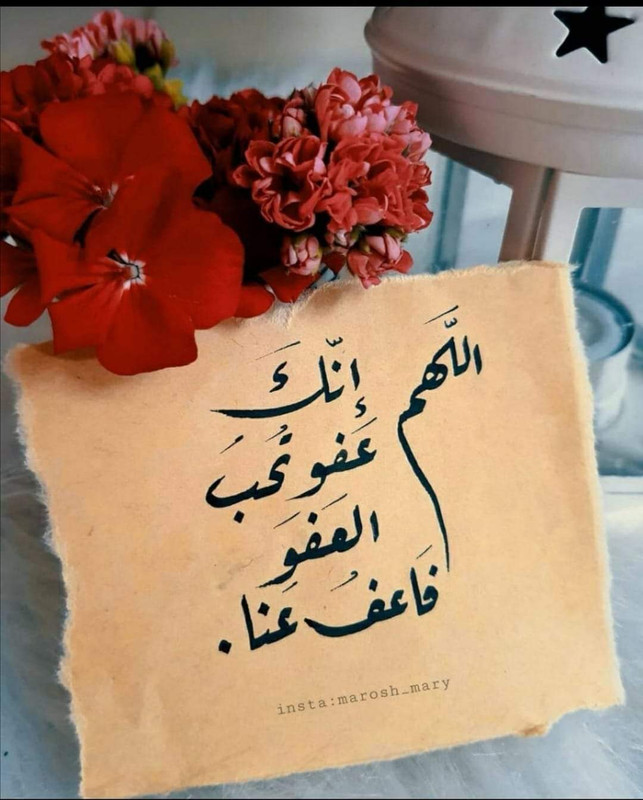 صورة