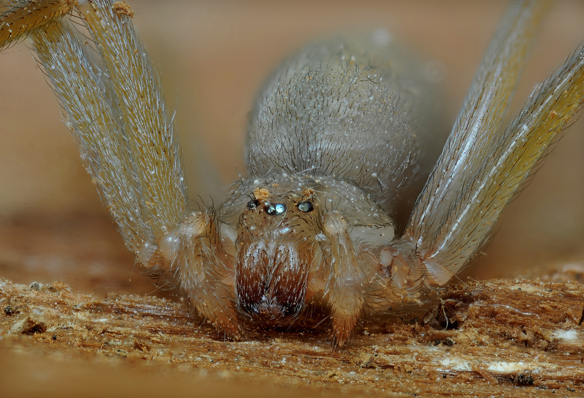 2023-08-30 17-40-32 (C,Smoothing9)_324nikon