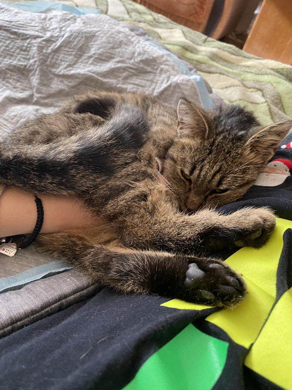 C1C5471D-8051-4585-A907-7720F268CFAA