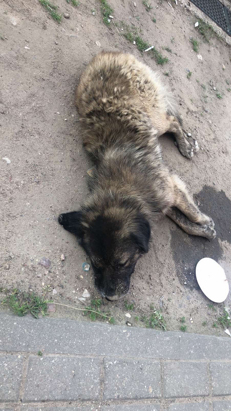 DB554F4A-58B7-4E3C-8AE0-F9C7E558B9B0