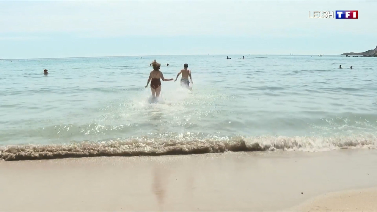 2021-06-11_13_00_TF1_Le-13h.mp4_snapshot_00.28.42.775