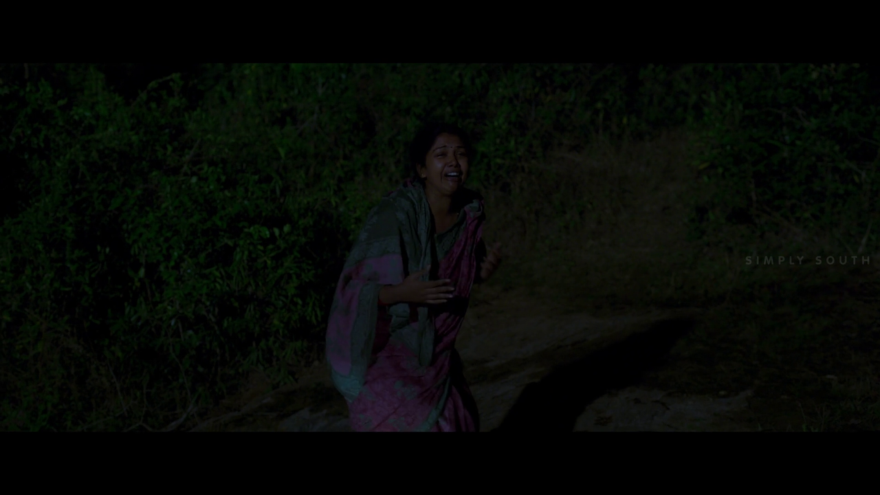 vlcsnap 2025 11 02 13h45m03s600