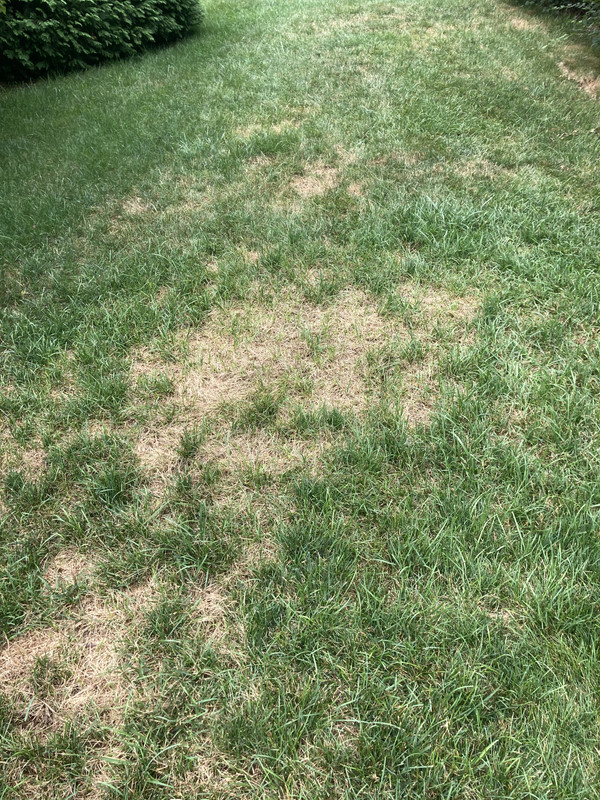 01B754E7-8795-4E90-85D5-9AD0F0961E72