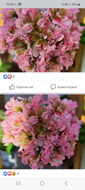 Screenshot_20230316_204433_Facebook