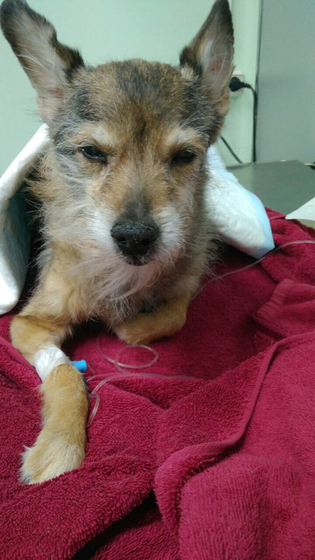 7D4E595A-4EFD-4867-8338-6DF0097B8208