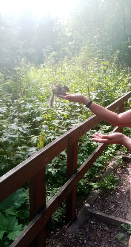 8124E120-4CBD-44E7-ABBD-86DD74812186