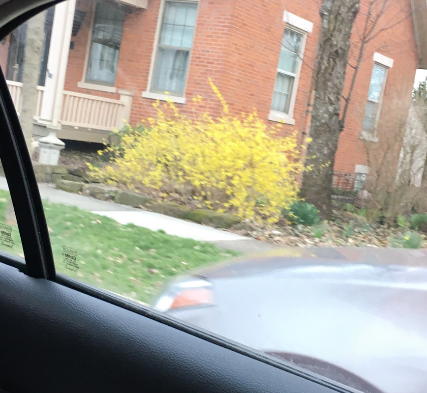 865B9EAE-7EC6-4597-96DC-3188250D81EE