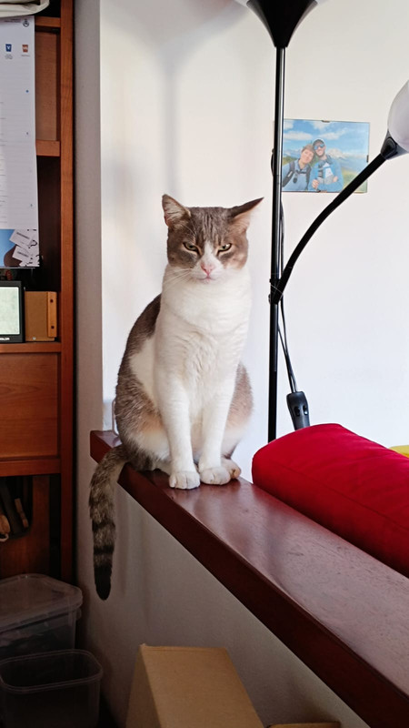 WhatsApp Image 2024-08-08 at 08.18.30