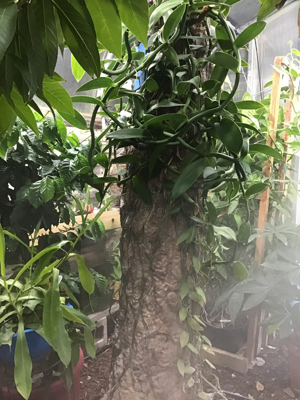 B9AFA061-5854-4E3C-846D-A96775484756