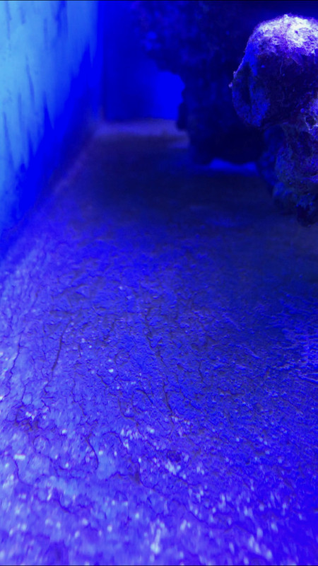 7545FC4C-89A1-4760-9DC0-FF652FED49C1