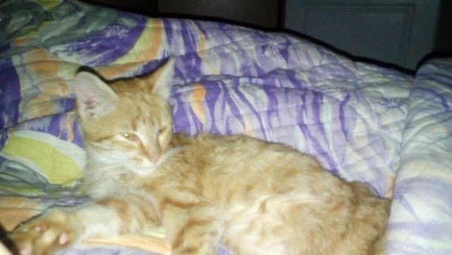 9052BF0C-F38C-45D0-B642-BDAA2BF5B97C