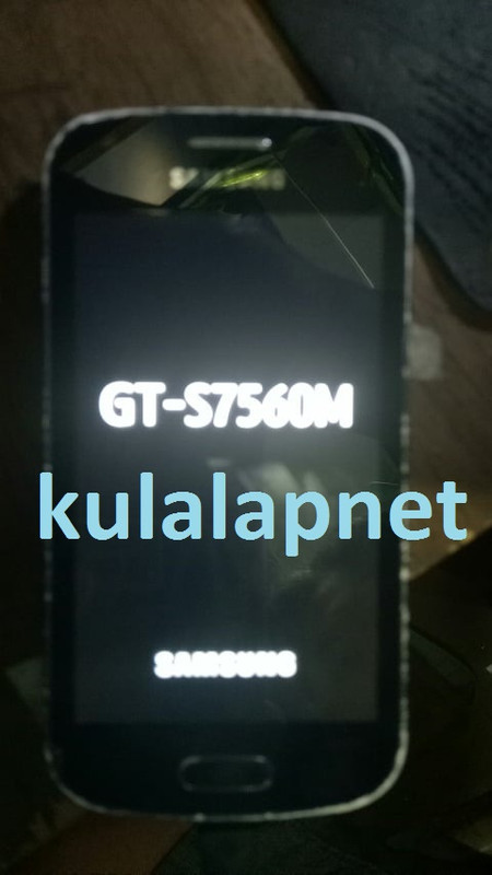 aa-52588574-515894555601969-6594248471358734336-n.jpg
