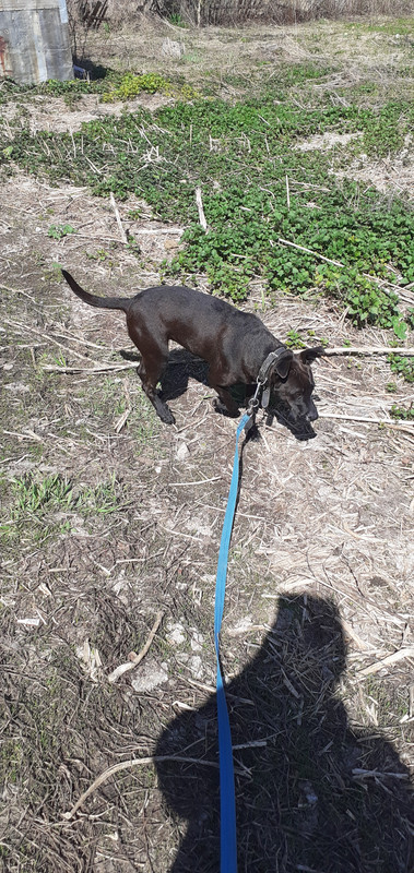 20240424_124504(0)[1]