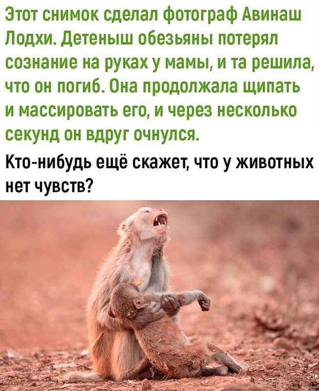 [Изображение: 978682a013baffc6d921ae712d98565d.jpg]