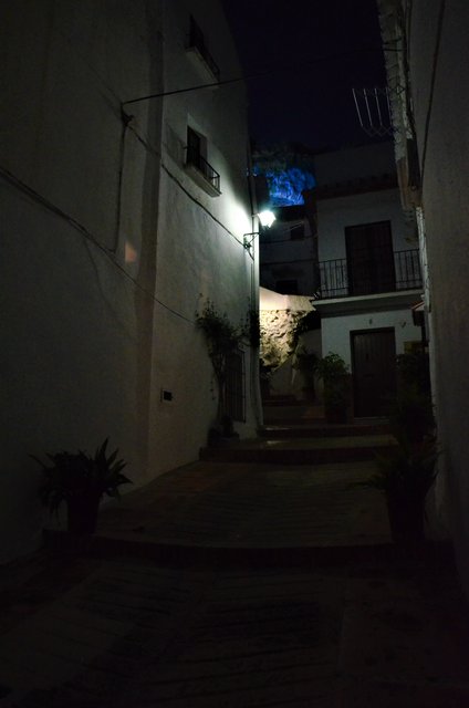 OJEN-9-3-2017 - Málaga y sus pueblos-2009/2017 (62)