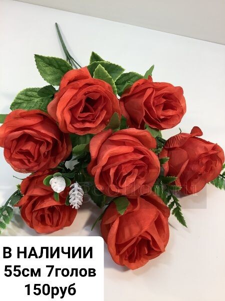 https://i.postimg.cc/Y2nbWHWF/IMG-20240409-081352.jpg