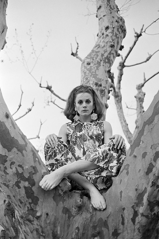 francoise_dorleac_zb13