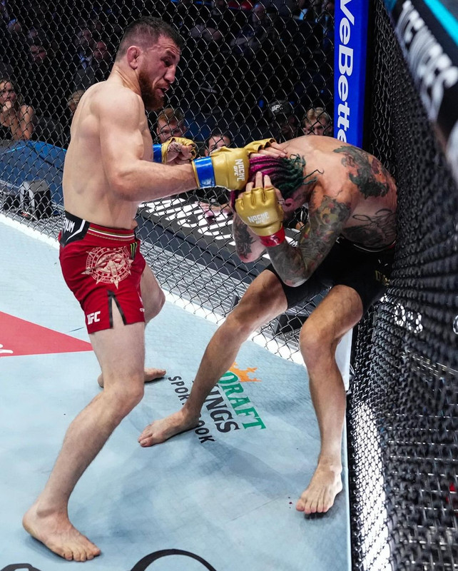 Snapinsta-app-459613601-1593239674928935