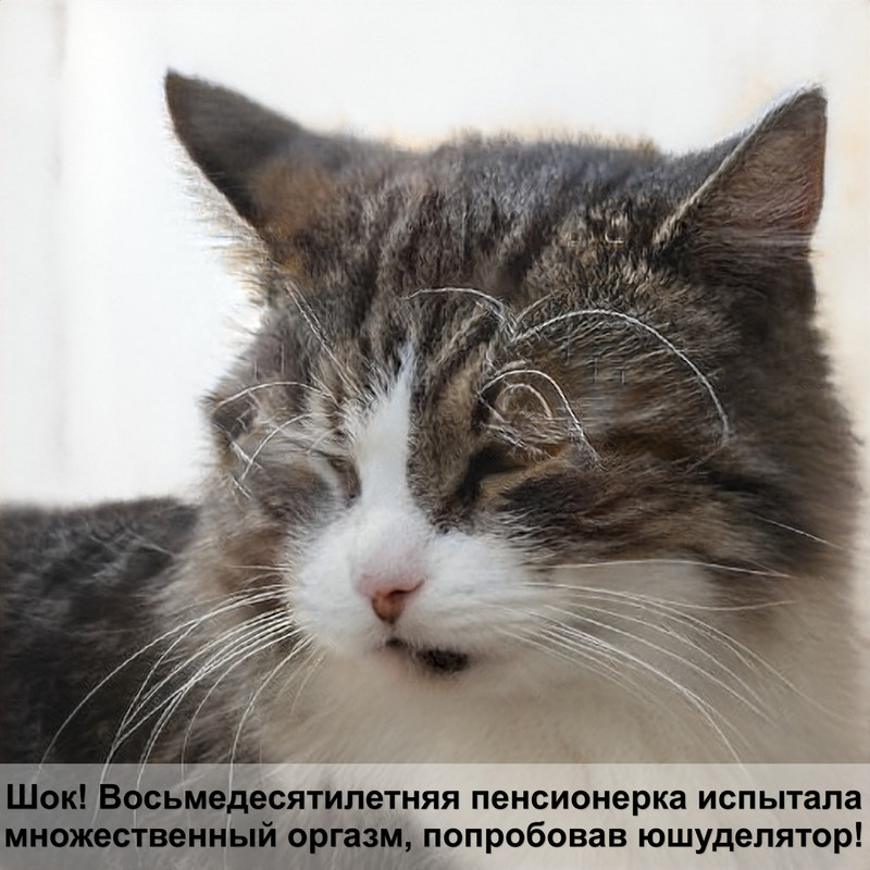 возраст кота по человеческим меркам