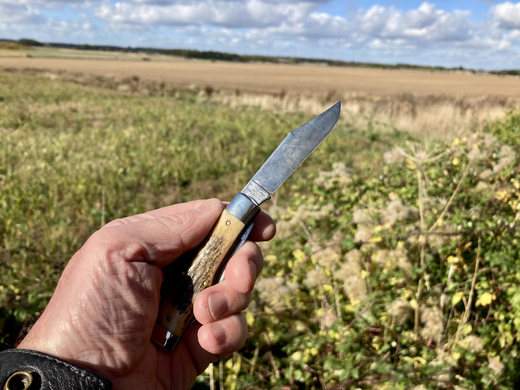 17E53ED6-5455-4251-BB64-3A05360958DB