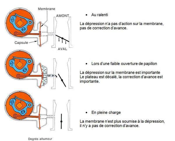 capture_imagesia-com_e0ff_large
