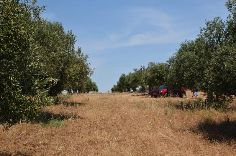 EMBALSE DE VALDECAÑAS-2019/2023 - Extremadura y sus pueblos -2010-2023 (23)