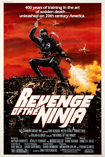 Die-Ruckkehr-der-Ninja.jpg