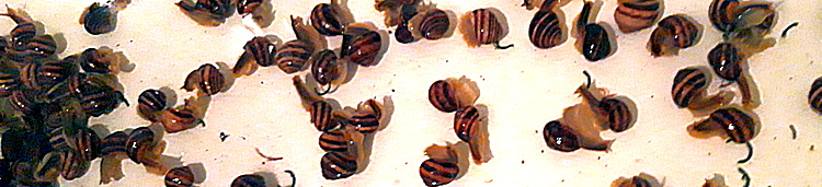 20190426-202557